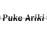 PA Logo Short Black